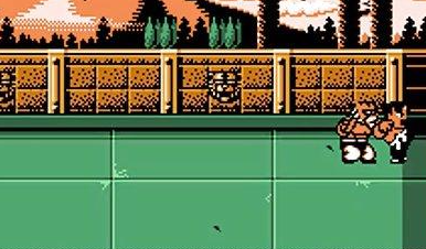 热血格斗老虎密码