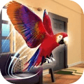 寵物鸚鵡模擬器安卓版
