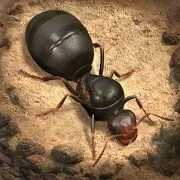 螞蟻：地下王國內置菜單