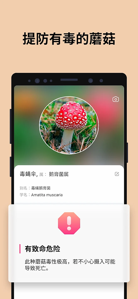 蘑菇识别扫一扫中文版