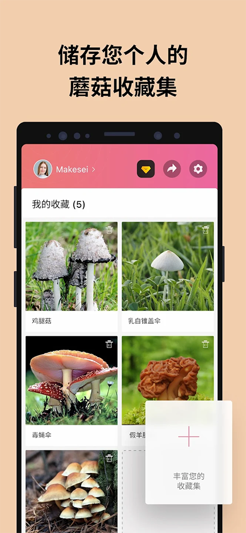 蘑菇识别扫一扫中文版