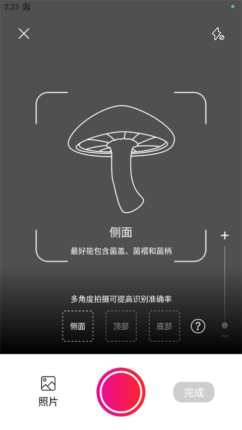 蘑菇识别扫一扫中文版