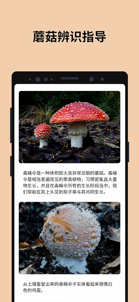 蘑菇识别扫一扫中文版