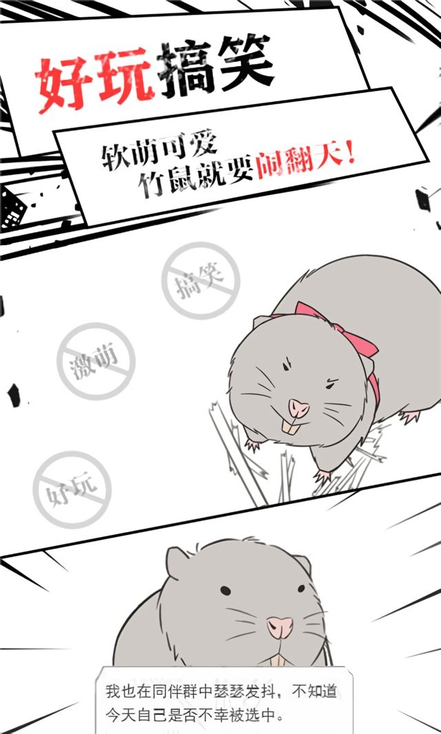 竹鼠求生记免费版