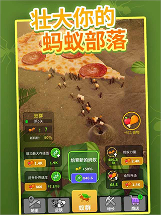 小小蚁群