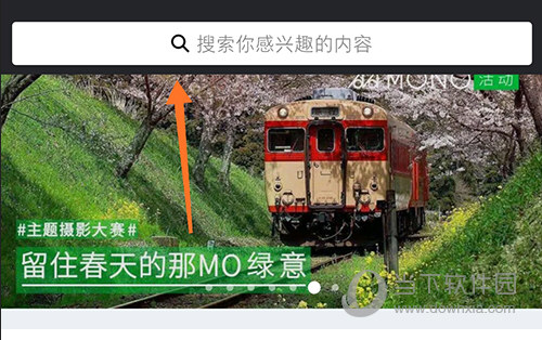 MONO发现