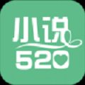 小说520