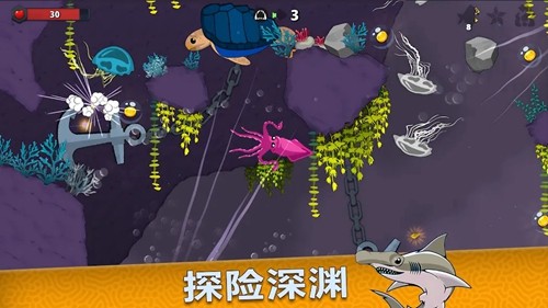 皇家鱼无限钻石版