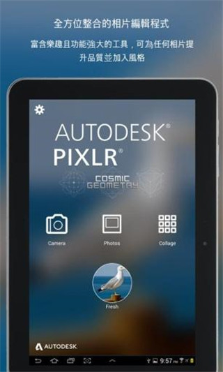 Pixlr app图片1