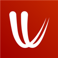 Windy APP