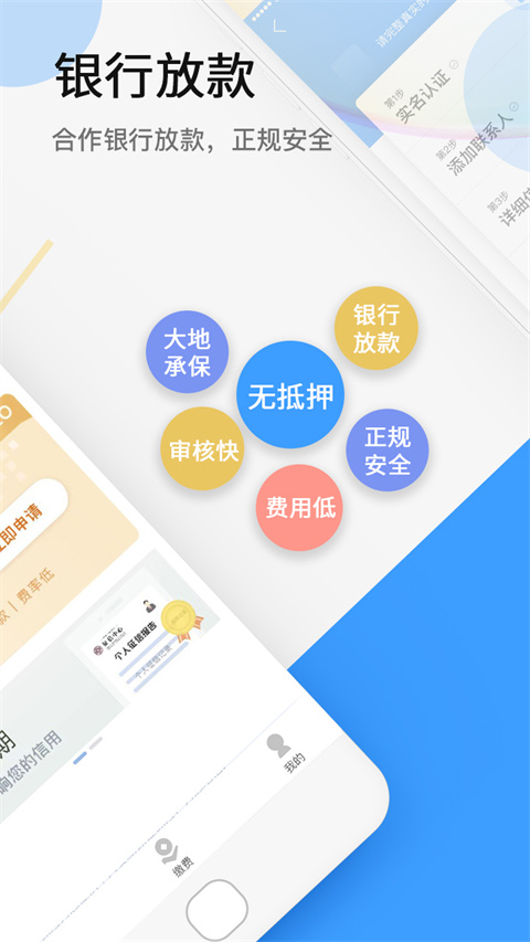 大地时贷险