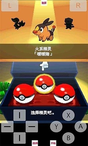 口袋妖怪黑白下载
