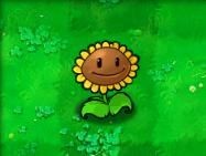 植物大战僵尸超爽版
