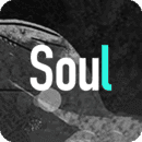 soul2021破解版