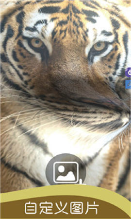 史莱姆开心独角兽