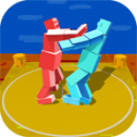 醉酒相扑(Sumo Sports)