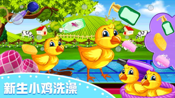 快乐小鸡动物园