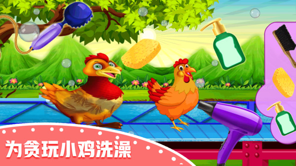 快乐小鸡动物园