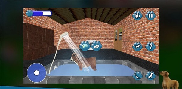 狗狗救援收容所