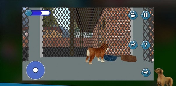 狗狗救援收容所