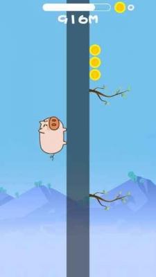 公猪上树之为了爱情官方版