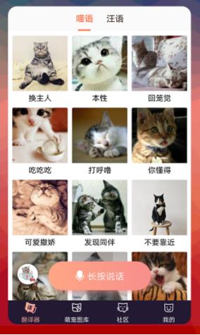 猫语翻译器