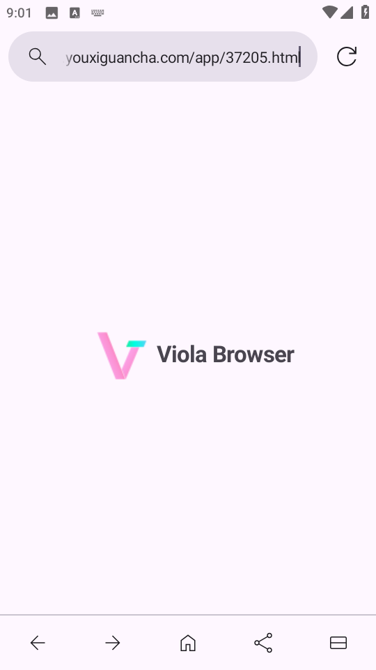 Viola