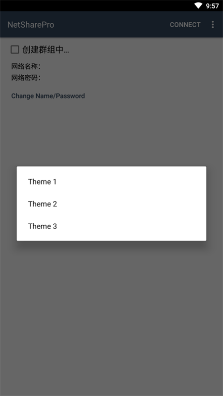 NetShare Pro
