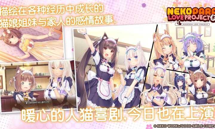 猫娘乐园2