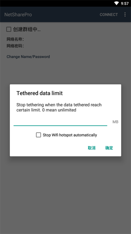 NetShare Pro