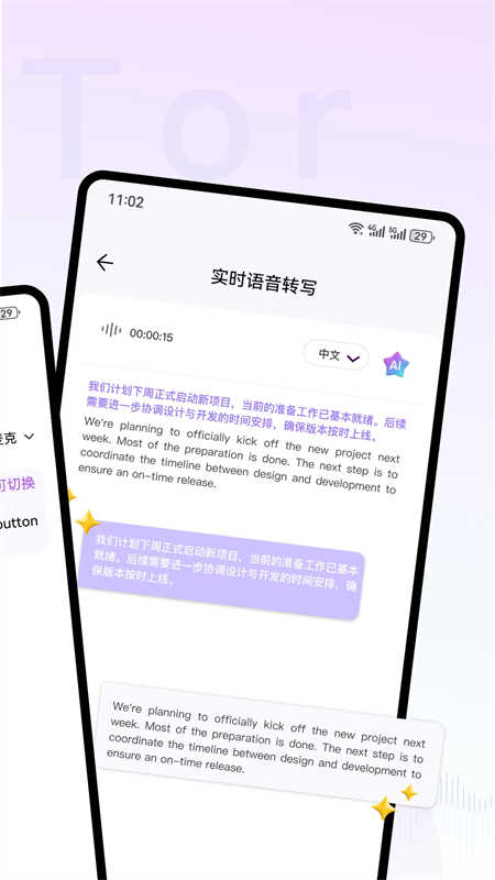 ViiTor实时翻译官网版