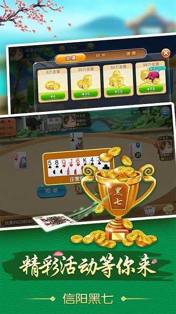 信阳黑七免费版