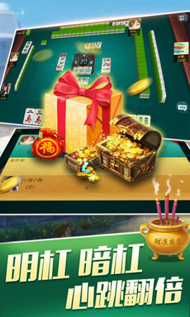 嵊州麻将官方版