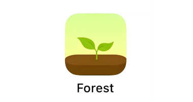 forest专注森林