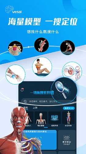 解剖大师免费版