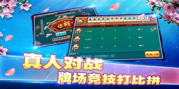 红河西元个旧麻将