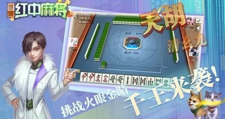 广东红中麻将手机版