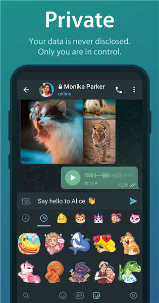 telegram下装链接
