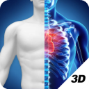3D人体解剖图谱
