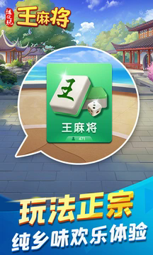 随便玩王麻将正版