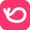 灰豚数据最新版