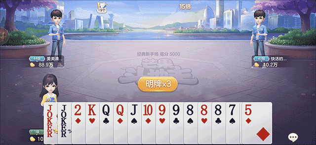 微乐斗地主记牌器