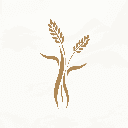 米禾阅读去广告版