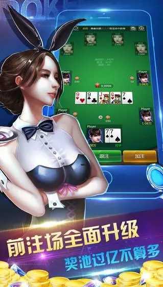 口袋德州手机版