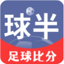 球半安卓版