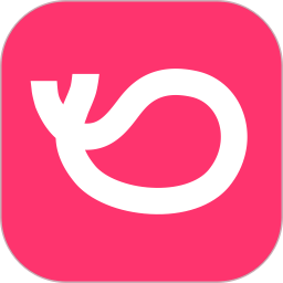 抖音灰豚数据分析平台