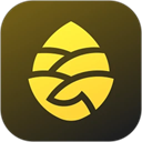 松果出行官方版