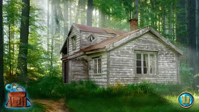 梧桐山上的秘密