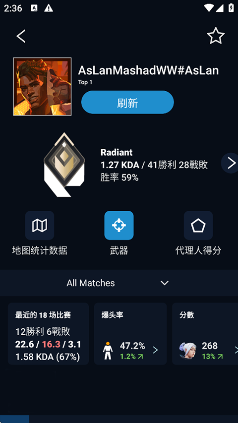 瓦罗兰特战绩查询助手