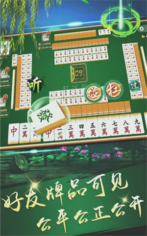 瓜瓜丰城棋牌双剑游戏